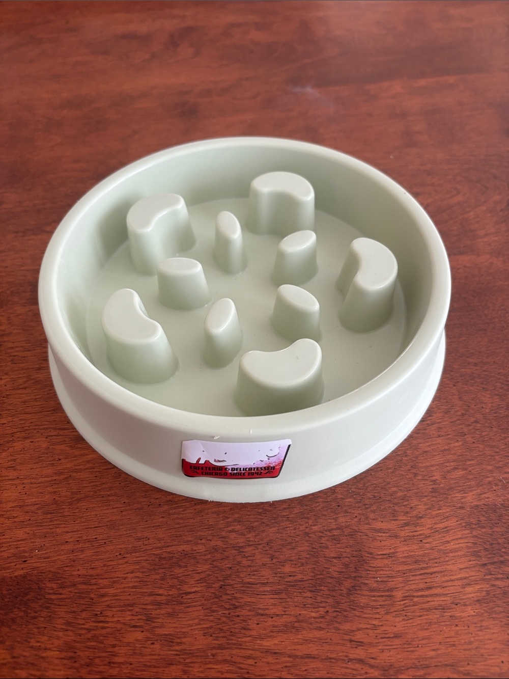 Slow feeder dog bowl
